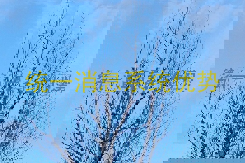 统一消息系统优势