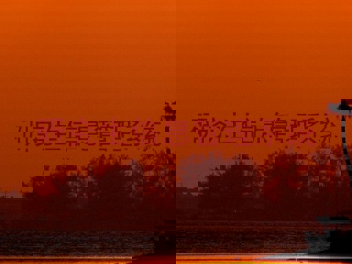 研究生信息管理系统