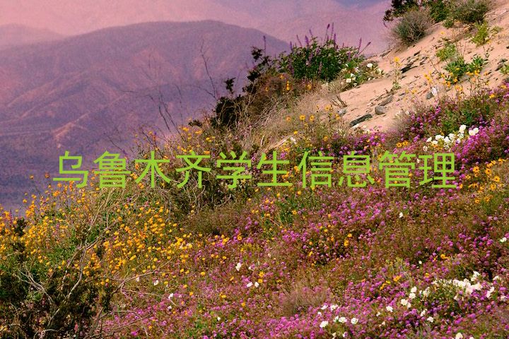 乌鲁木齐学生信息管理