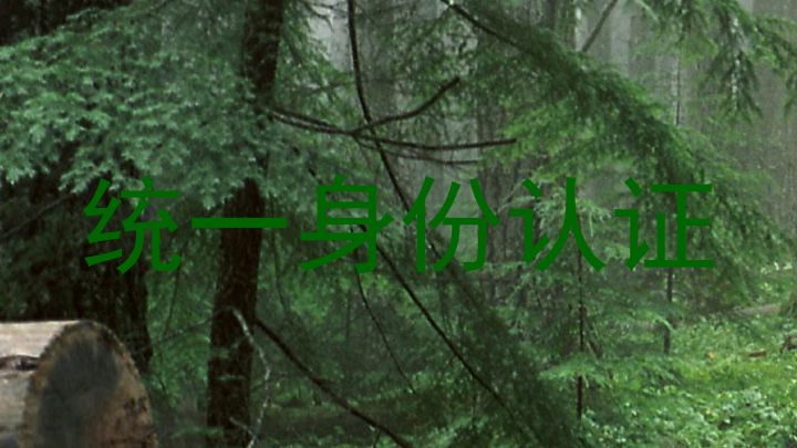 统一身份认证