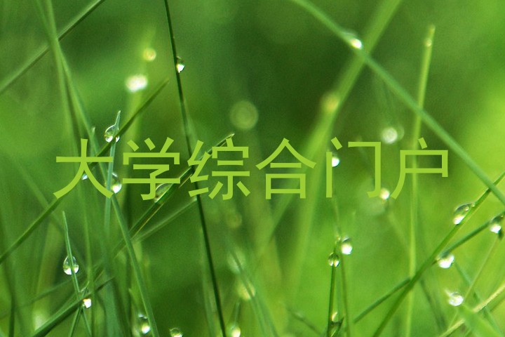 大学综合门户