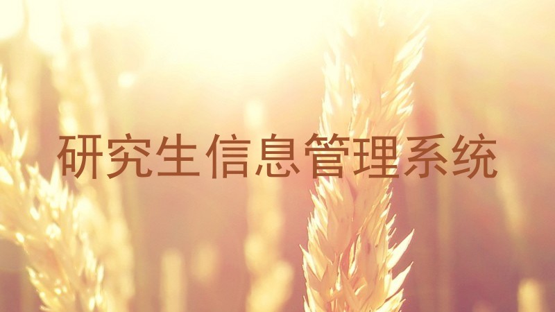 研究生信息管理系统