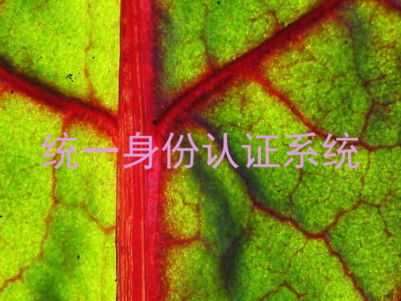 统一身份认证系统