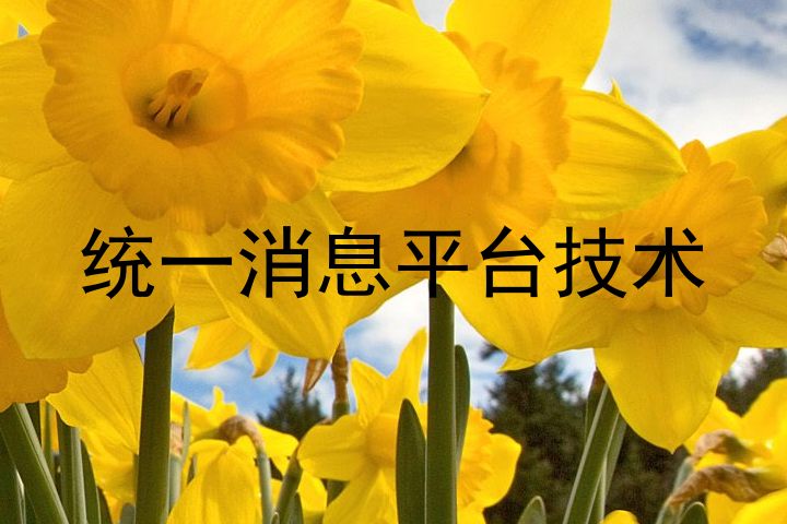 统一消息平台技术