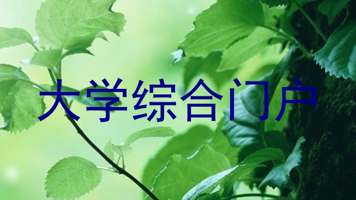 大学综合门户