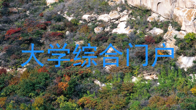 大学综合门户