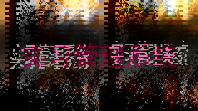 实习管理系统