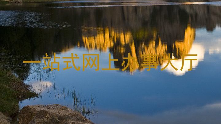 一站式网上办事大厅