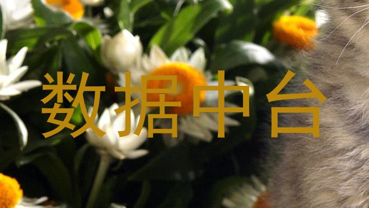 数据中台