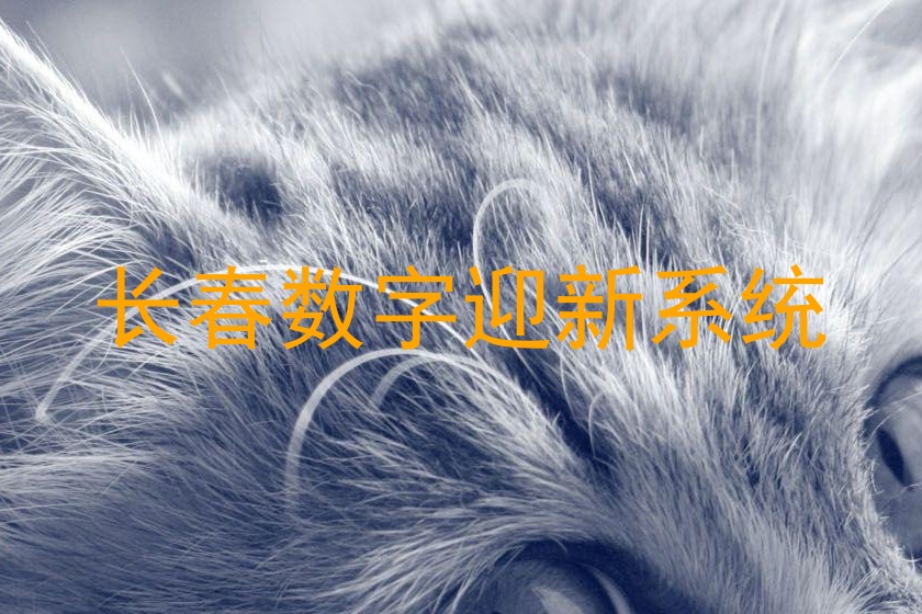 长春数字迎新系统