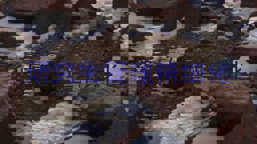 研究生管理精细化