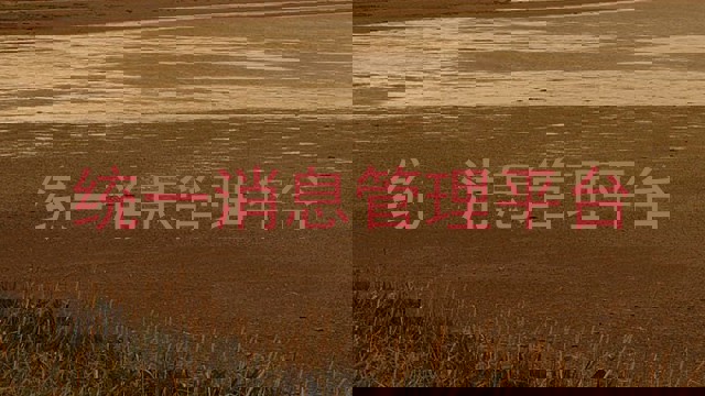 统一消息管理平台