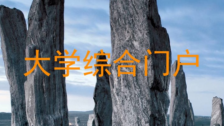 大学综合门户