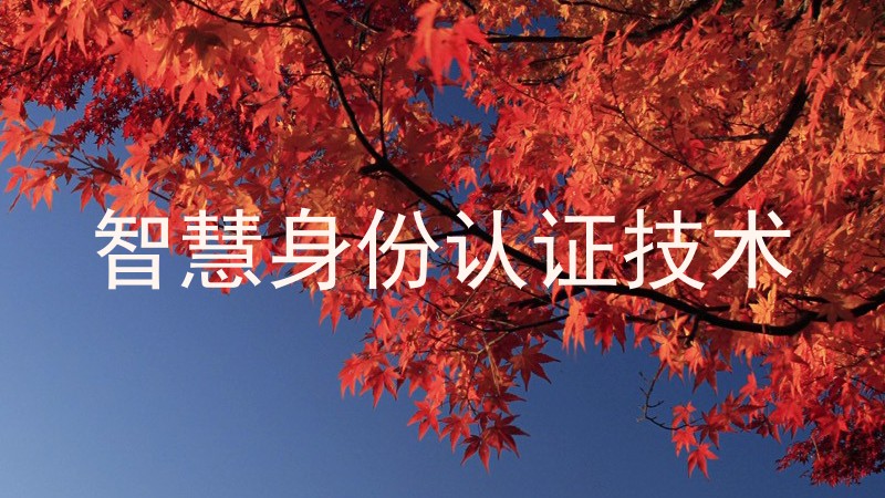 智慧身份认证技术
