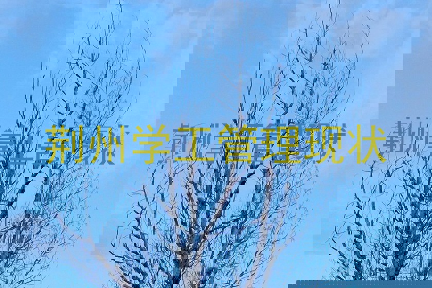 荆州学工管理现状