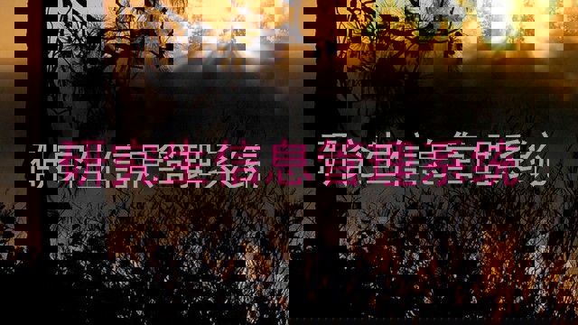 研究生信息管理系统