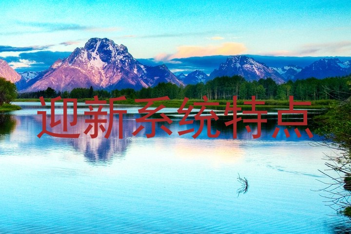 迎新系统特点