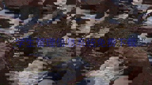 学生管理信息系统免费下载