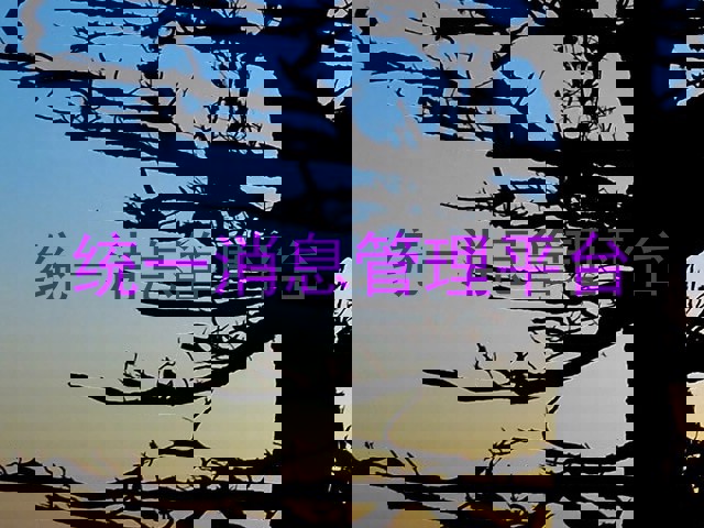 统一消息管理平台