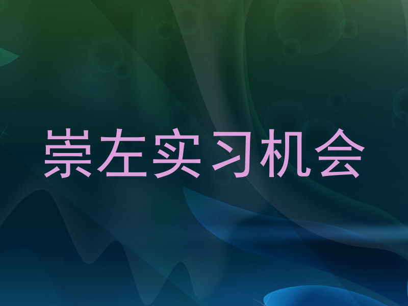 崇左实习机会