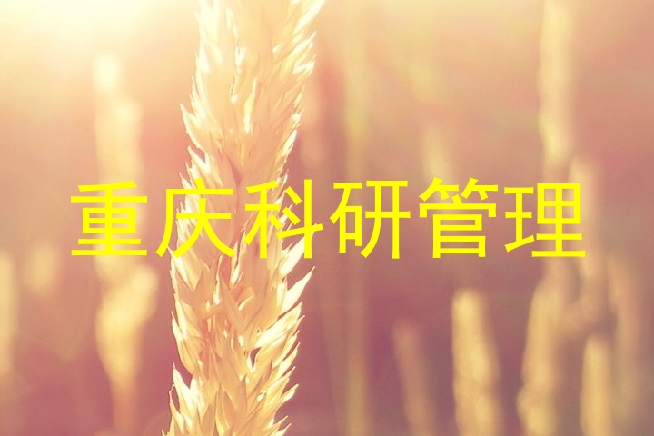 重庆科研管理