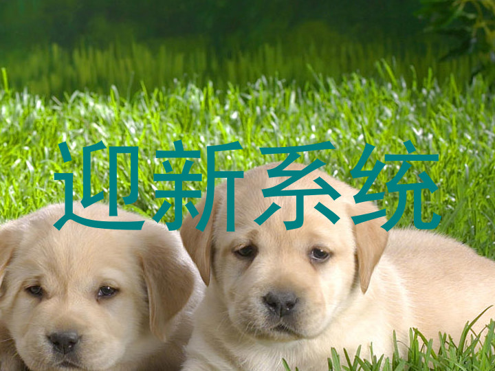迎新系统