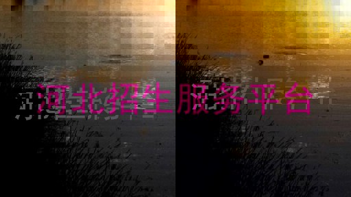 河北招生服务平台