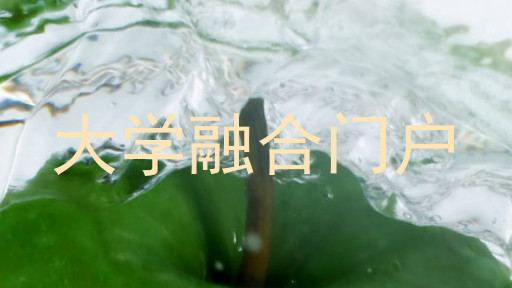 大学融合门户