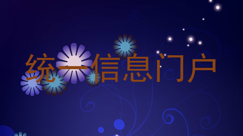 统一信息门户