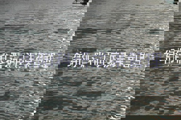 绵阳科研成果管理