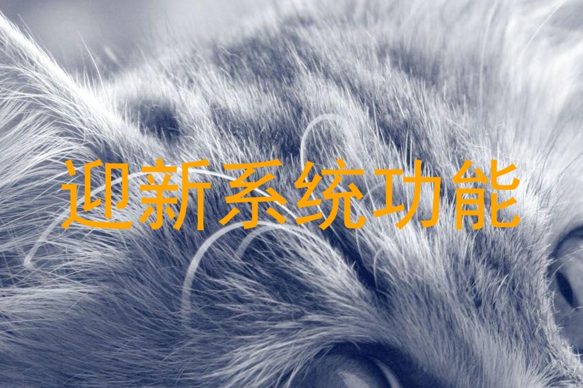 迎新系统功能