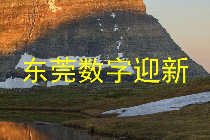 东莞数字迎新