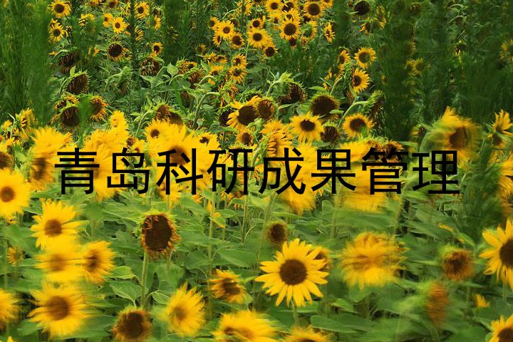 青岛科研成果管理