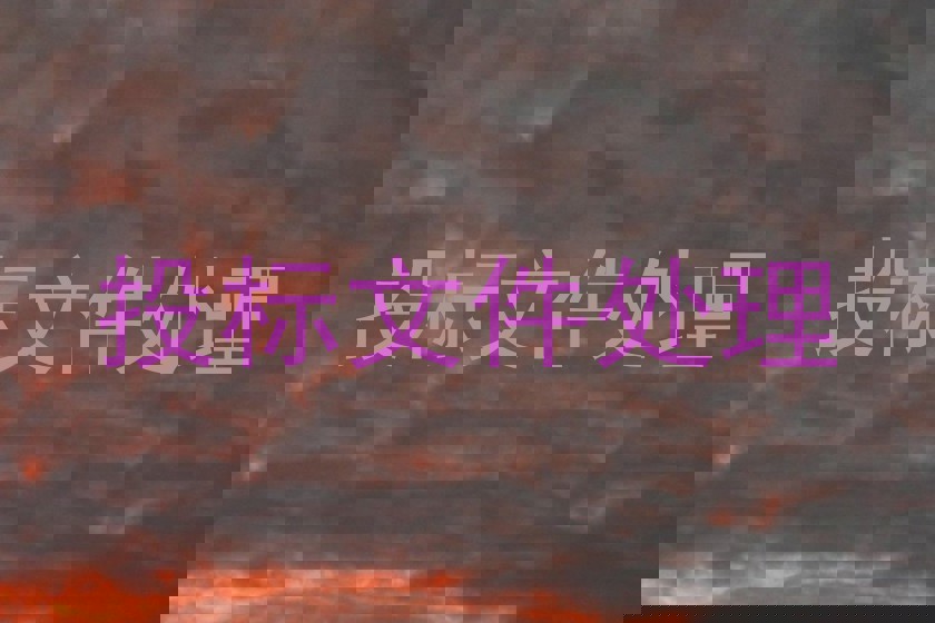 投标文件处理