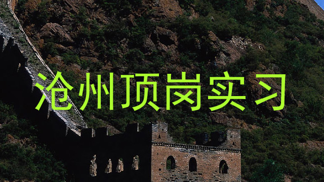 沧州顶岗实习