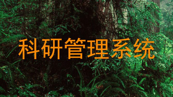 科研管理系统