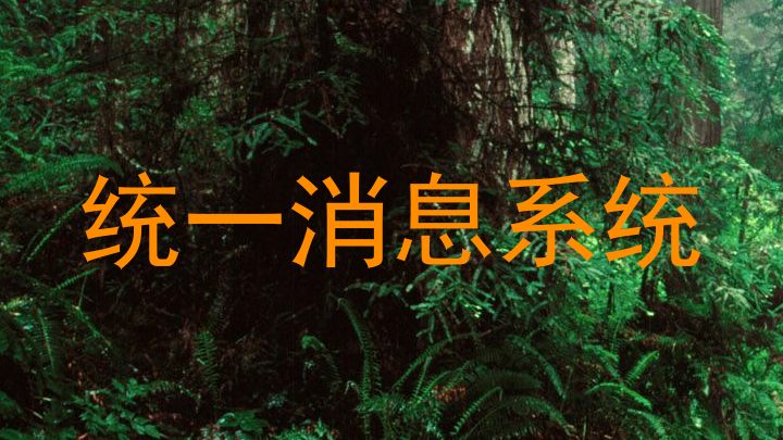 统一消息系统