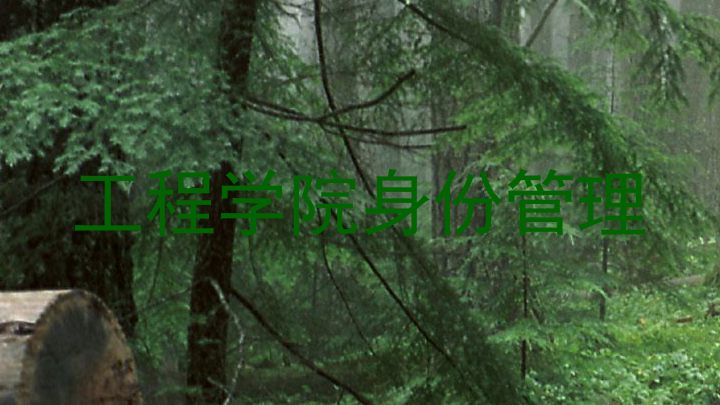 工程学院身份管理