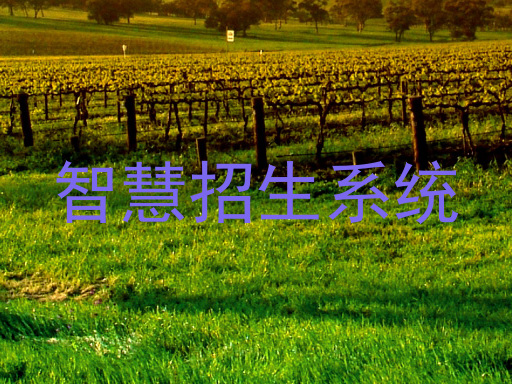 智慧招生系统