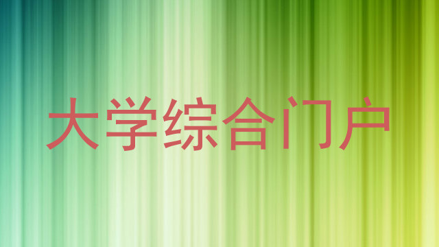 大学综合门户
