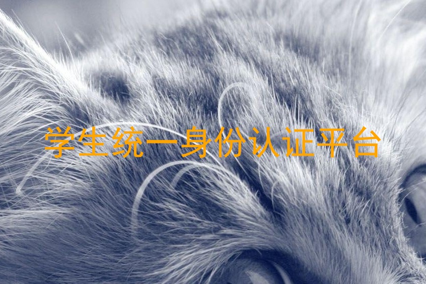 学生统一身份认证平台