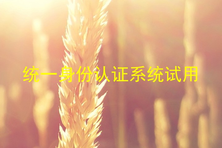统一身份认证系统试用