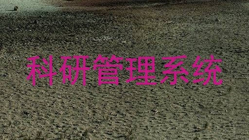 科研管理系统