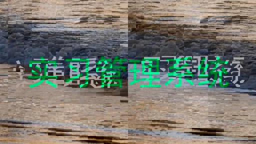 实习管理系统