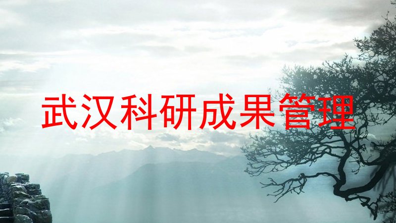 武汉科研成果管理