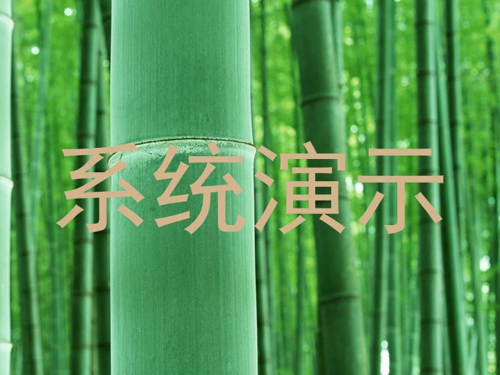 系统演示