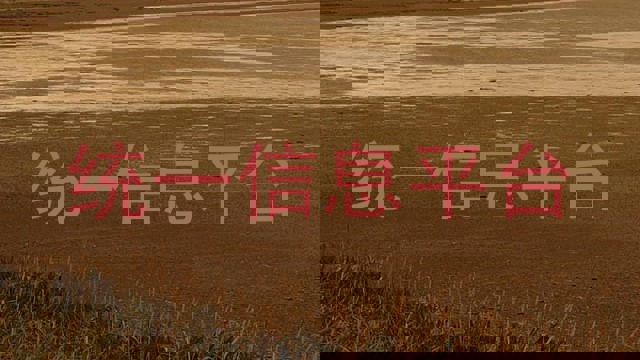 统一信息平台