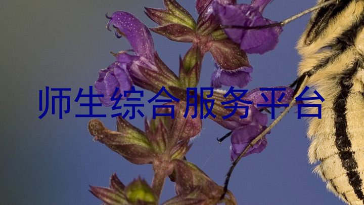 师生综合服务平台