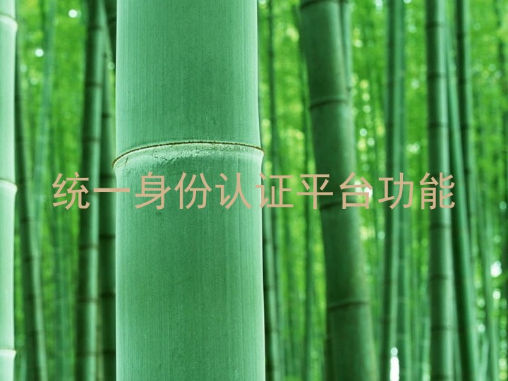 统一身份认证平台功能
