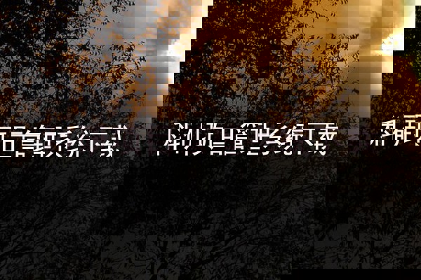 科研项目管理系统下载